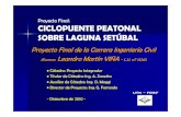 Proyecto Final: CICLOPUENTE PEATONAL SOBRE LAGUNA …santafeciudad.gov.ar/.../uploads/2018/10/CICLOPUENTE-ING-VIÑA-PARTE-1.pdf · volumen peatonal ronda las 40.000 personas, sólo