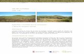 Vall del riu Rodeja - Cilma i informes/Cataleg espais... · papallona de Graells (Graellsia isabelae), la qual esdevé espècie protegida. El control d’abocaments al riu Rodeja