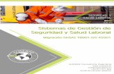 Presentación de PowerPoint - sustant-academy.com · Sistemas de Gestión de Seguridad y Salud Laboral Migración OHSAS 18001-ISO 45001 SUSTANT Consultoría Ingeniería sustant@sustant.es