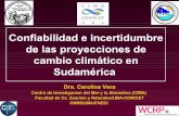 Confiabilidad e incertidumbre de las proyecciones de ... · • Las simulaciones climáticas proyectan un aumento de las precipitaciones de verano en el sudeste de Sudamérica para
