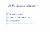 Projecte Educatiu de Centre - static.plenummedia.comstatic.plenummedia.com/40663/files/20171106144843-projecte-educatiu-de-centre.pdf · de Catalunya, i per a l'aplicació del projecte