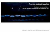 Ondas estacionarias - amyd.quimica.unam.mxamyd.quimica.unam.mx/.../mod_resource/content/7/Estacionarias2019-2.pdf · Las ondas surgen siempre que un sistema es perturbado de su posición