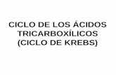 CICLO DE LOS ÁCIDOS TRICARBOXÍLICOS (CICLO DE KREBS) · Metabolismo aeróbico completo de la glucosa (hasta CO 2 y OH 2). Requiere la acción concertada de la glucólisis, el ciclo