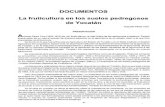 DOCUMENTOS - Universidad Autónoma Chapingo · Otro documento sobresaliente del mismo autor, La fruticultura en los suelos pedregosos de Yucatán, se publicó en 1972 por la ya desaparecida