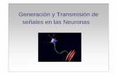 Generación y Transmisión de señales en las Neuronas 2.pdf · Potencial de reposo o potencial de membrana ... CONDUCCIÓN DEL POTENCIAL DE ACCION. Generación y Transmisión de