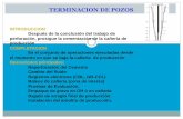 TERMINACION Y REPARACION DE POZOS - …pygconsultores.com.ve/wp-content/uploads/2019/01/COMPLETACION...POZOS.pdf · TERMINACIÓN CON EMPAQUE DE GRAVA. •Que se utiliza en pozos cuyas