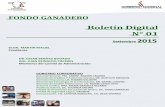 Boletín Digital N° 01 - fondogan.gov.py · Amanecer, Virgencita de Caacupé, San Isidro, La Esperanza, María Auxiliadora, Costa Pucú, Isla Naranja, Larroza II, San Jorge, San