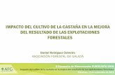 Presentación de PowerPoint - eurocastanea.org · II Encuentro de Bioeconomía: EUROCASTA 2018 Impacto del cultivo de la castaña en la mejora del resultado de las explotaciones forestales