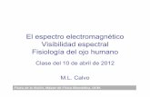 El espectro electromagnético Visibilidad espectral ...webs.ucm.es/info/giboucm/images/ml_calvo/fv 10 abril b.pdf · El espectro electromagnético Visibilidad espectral Fisiología
