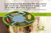 Carátula: Ciclo de vida de Diatraea - cenicana.org · Registro de las especies de Trichogramma halladas en huevos de Diatraea spp. recolectados en varias zonas de Colombia. .....85