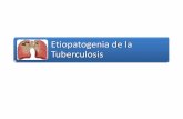 Etiopatogenia de la Tuberculosis - chlaep.org.uy · Tuberculosis • Enfermedad infecto - contagiosa causada por M. tuberculosis • Histopatológicamente se caracteriza por la presencia