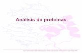 Análisis de proteínas - herramientas.qb.fcen.uba.ar · Tipos de aminoácidos Dependiendo de su carga electrostática final, los aminoácidos pueden clasificarse en polares, no polares