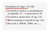 Genética (Caps. 12-14) - academic.uprm.eduacademic.uprm.edu/~dkolterman/biol3435/Caps12-14.pdf · Genética (Caps. 12-14) Genética clásica o mendeliana (Capítulo 12 – Laboratorio