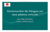 Generación de biogas en una planta avícola - El Sitio de ...produccion-animal.com.ar/Biodigestores/47-planta_avicola.pdf · Generación de biogas en una planta avícola Ing. Elbio