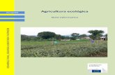 DESARROLLO RURAL, SEGURIDAD ALIMENTARIA Y NUTRICIÓN · agricultura ecológica es equivalente a una agricultura de trabajo más intensivo y más productiva (en el sentido de gestión