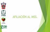 Afiliación al IMSS - cusur.udg.mx · ¿QUE ES LA MODALIDAD 32?! Se refiere a la afiliación de estudiantes, así como familiares de personal del IMSS y de la Comisión Federal de