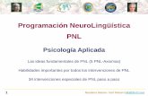 Programaci£³n NeuroLing£¼£­stica PNL - nlp- En la fase de PNL despu£©s de 1978 personas de PNL exploraron