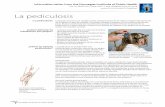 La pediculosis - fhi.no · Hodelus/Spanish Head lice • Spanish Page 2 ¿Cómo se transmite la pediculosis? La presencia de piojos en guarderías y colegios Los piojos no pueden