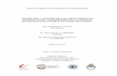 Modelado y análisis de las características distintivas de ...ricabib.cab.cnea.gov.ar/424/1/1García.pdf · tesis carrera de maestrÍa en ingenierÍa “modelado y anÁlisis de las