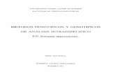 METODOS FENOTIPICOS Y GENOTIPICOS DE ANALISIS ...webs.ucm.es/BUCM/tesis/19911996/X/3/X3005401.pdf · Algunas pruebas bioquímicas útiles para la diferenciación de las distintas