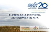 Joining efforts to provide quality EL PAPEL DE LA ...conagronomos2018.com/uploads/app/413/elements/file/file1549372572.pdf · La Agricultura de España es estratégica para alimentar