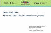 Acuacultura: una enzima de desarrollo regional un... · Lúcio Renato de Fraga Brusch Fundación ZERI Brasil Blue Economy 21 de septiembre de 2018 Acuacultura: una enzima de desarrollo