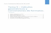 Tema 5 – Cálculos geométricos y conversiones de formatos. 5_Cálculos geométricos...Conversión a formato KML (único y en conjunto)..... 30 6. Conversión a formato DWG (configuración