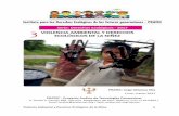 Instituto para los Derechos Ecológicos de las futuras ...tdh-latinoamerica.de/.../2019/01/...ambiental-y-Derechos-Ecologicos.pdf · como violaciones de los deberes del gobernante,