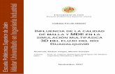 INFLUENCIA DE LA CALIDAD DE MALLA Y MDE SIMULACIÓN ...blogs.ujaen.es/prmedina/wp-content/uploads/2018/03/2.3.4-TFM-MAV.pdf · Además del refinamiento de la malla en las proximidades