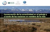 Conservación de la conectividad en el paisaje y a través ... · Gobiernos y regiones como Australia, Mesoamérica, los Alpes, el Himalaya, etc. Todas las grandes ONGs internacionales,
