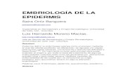 176 Embriologia de la epidermis - antoniorondonlugo.com · el disco germinativo bilaminar o blástula, constituido por ectodermo y endodermo. Durante la tercera semana de desarrollo