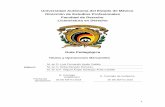 Universidad Autónoma del Estado de México Dirección de ...derecho.uaemex.mx/U2018-B/Derecho/Plan 2015/LDE704GP.pdf · mostrando su creatividad un modelo de títulos de crédito