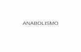 ANABOLISMO - iesalfonsox.es · El anabolismo heterótrofo, a diferencia del autótrofo, parte ya de sustancias orgánicas sencillas, limitándose con ellas a elaborar otras progresivamente