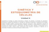 CINÉTICA Y ESTEQUIOMETRIA DE CÉLULASbiotecnologiaindustrial.fcen.uba.ar/wp-content/uploads/2010/04/E9... · CINÉTICA Y ESTEQUIOMETRIA DE CÉLULAS Unidad 4 CEBI_E9 Sandra Guerrero