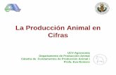 La Producción Animal en Cifras - ucv.ve · PDF fileLa Producción Animal en Cifras UCV-Agronomía Departamento de Producción Animal Cátedra de Fundamentos de Producción Animal