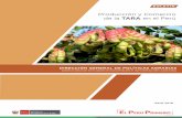 Producción y Comercio de la TARA en el Perú - siicex.gob.pe · oportunidades de eco negocios más importantes del país. Se exporta al mercado mundial el equivalente al 80% de la