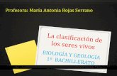Profesora: María Antonia Rojas Serranomariarojas.iescla.org/wp-content/uploads/2018/10/T4-Clasifiación-de... · LA CLASIFICACIÓN DE LAS ESPECIES El estudio científico de la diversidad