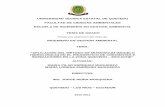 Método de Muskingum - repositorio.uteq.edu.ecrepositorio.uteq.edu.ec/bitstream/43000/2089/1/T-UTEQ-0040.pdf · J. Caudal de entrada al río Quevedo normado por el método de Muskingum