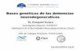 Bases genéticas de las demencias neurodegenerativas · Demencia Si bien los síntomas de la demencia pueden variar, al menos dos de las siguiente funciones deben verse afectadas: