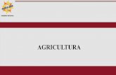 AGRICULTURA - regionarequipa.gob.pe · cuales 21 PIP han sido formulados por esta Gerencia, lo que representa el 42.00 % . 19 PIP de mejoramiento de infraestructura de riego (captación,