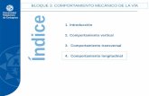 BLOQUE 3. COMPORTAMIENTO MECÁNICO DE LA VÍA Índiceocw.bib.upct.es/pluginfile.php/13041/mod_resource/content/2/B3 Tema4.pdf · Destapar la parte inferior del crisol para eliminar