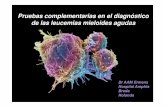 Congreso Nacional Laboratorio Clínico 2018 24... · proeritroblasto CD36 H antigeno (GpA) inmaduro megakarioblasto HLA-DR CD34 CD33 (CD36) (CD41/CD61) (CD42) megakarioblasto CD36