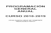 PROGRAMACIÓN GENERAL ANUAL CURSO 2018-2019ceadtenerife.es/web/wp-content/uploads/2018/11/PGA-2018_2019.pdf · programaciÓn general anual curso 2018-2019 cead santa cruz de tenerife