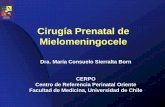 Cirugía Prenatal de Mielomeningocele - cerpo.cl · •Monitoreo fetal ... •Mejor función motora en las escalas de Bayley y Peabody en el grupo prenatal, pese a tener lesiones
