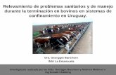 Relevamiento de problemas sanitarios en bovinos en ... · En los sistemas de engorde a corral de nuestro país, a diferencia de la mayoría de los sistemas de engorde de otros países,