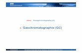 Gaschromatographie (GC) - analytik.ethz.ch · Herbstsemester 2015 ETH Zurich | Dr. Thomas Schmid | Dr. Martin Badertscher, martin.badertscher@org.chem.ethz.ch Gaschromatographie (GC)