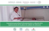 Lineamiento general para la documentación y evaluación de ... · Lineamiento general para la documentación y evaluación de la implementación de los planes de cuidados de enfermería