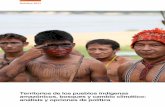 Territorios de los pueblos indígenas amazónicos, bosques y ... · 3 Resumen ejecutivo En este artículo se estudian dos análisis científicos, distintos pero asociados, que examinan