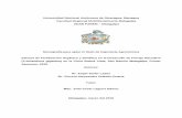 Universidad Nacional Autónoma de Nicaragua, Managua ...repositorio.unan.edu.ni/3094/1/5626.pdf · Monografía para optar el título de Ingeniería Agronómica Efectos de Fertilización
