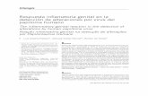 Respuesta inflamatoria genital en la detección de ...scielo.org.ar/pdf/abcl/v47n3/v47n3a09.pdf · citos, sintetiza la proteína E4 que destruye el citoes-queleto de la célula infectada